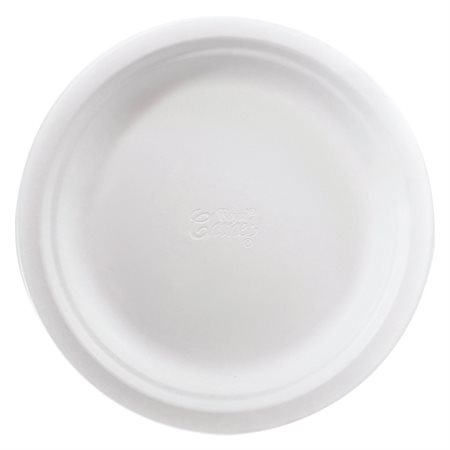 Assiettes Royal Chinet® 6 in. (pkg 250)