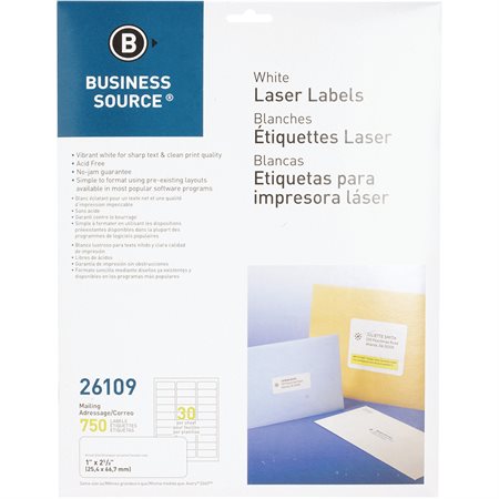 Étiquettes d’adresse premium Paquet de 25 feuilles 1 x 2-5 / 8 po. (750)