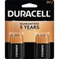Coppertop Alkaline Batteries 9V package of 2