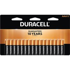 Coppertop Alkaline Batteries AAA Package of 16