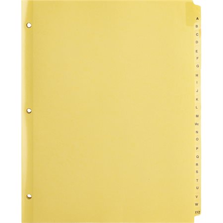 Clear Plastic Tab Index Dividers
