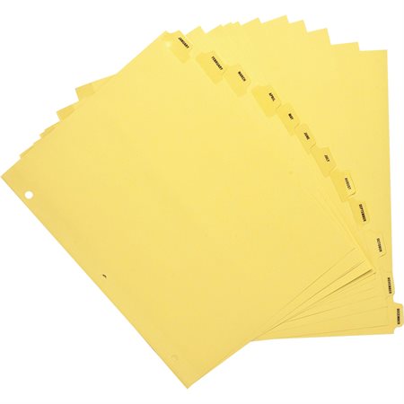 Clear Plastic Tab Index Dividers