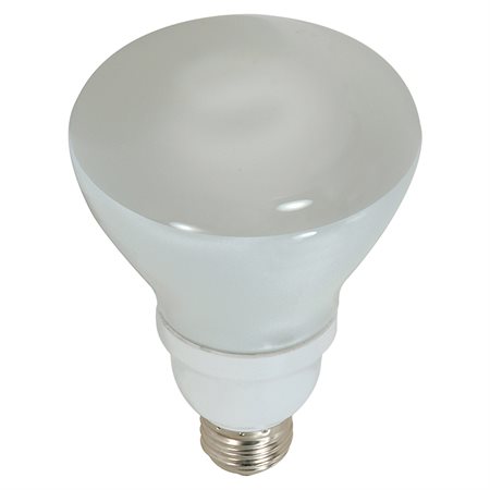 CFL R30 Bulb