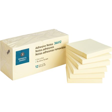 Self Adhesive Notes Package of 12 3 x 3 in.
