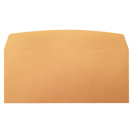Insertion Friendly Envelope