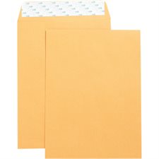 Self sealing Catalogue Envelope