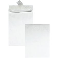 Expansion Envelope 12 x 16 in. With 2 in expansion
