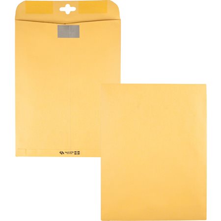 ClearClasp® Envelope