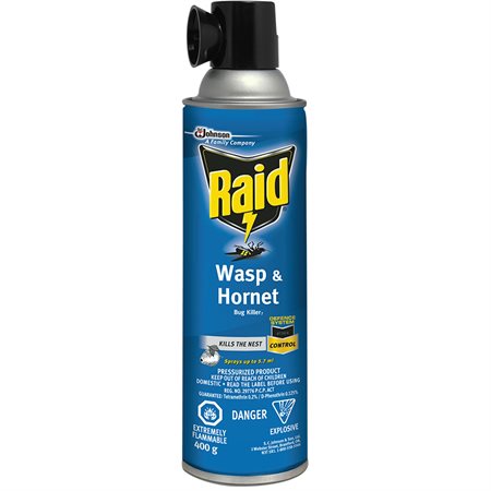 Raid® Wasp And Hornet Killer Spray