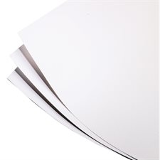 White cardstock Bristol. 340M. 4-ply. 22 x 28".  ** See by 833653 **