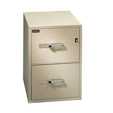 Fire Resistant Vertical File 2 drawers - 28 in. H.