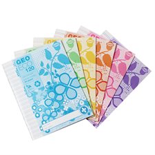 GeoEco Exercise Book Interlined, assorted colours.