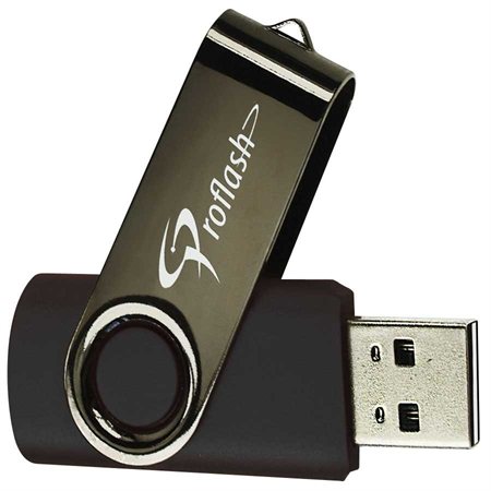 Clé USB à mémoire flash Classic USB 2.0 256 Go - noir