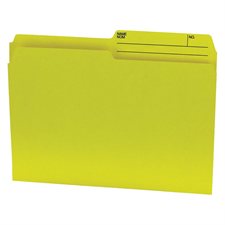 File folder Letter size yellow