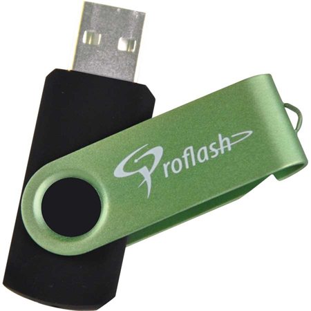 Clé USB à mémoire flash FlipFlash 256 Go vert