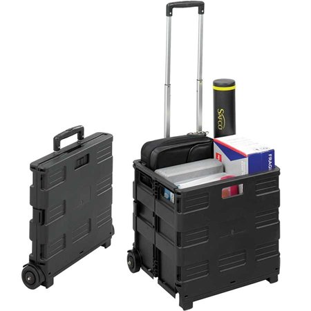 STOW AWAY® Mobile Crate