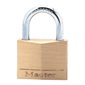 Solid Brass Padlock with Key 7/16”