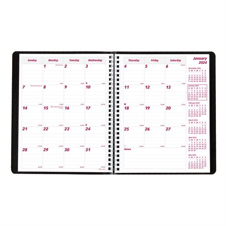 Monthly Diary (2023)