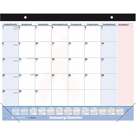 QuickNotes® Pink Ribbon Monthly Desk Calendar