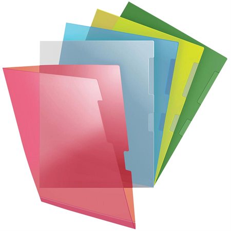 Heavy-Duty Transparent Folders