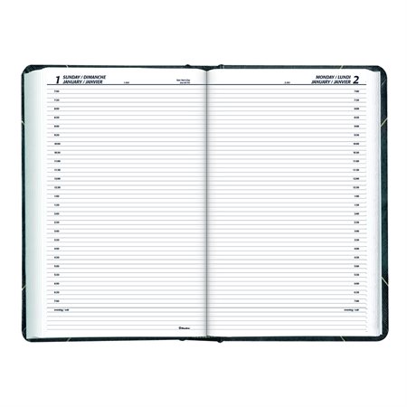 Daily Diary (2023) Green cover, 30-minute schedule Bilingual