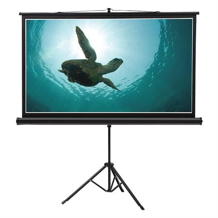 Wide Format Wall Mount Projection Screen