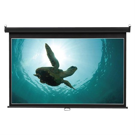 Wide Format Wall Mount Projection Screen