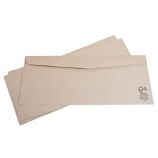Kraft Envelope without window