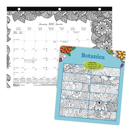 DoodlePlan™ Monthly Desk Pad Calendar (2023) 11 x 8-1 / 2", 3-hole punched for binder botanica