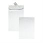 Expansion Envelope 10 x 13 in. With 1-1 / 2 in expansion