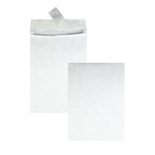 Expansion Envelope 10 x 13 in. With 1-1/2 in expansion