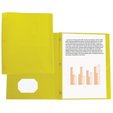Poly Tang Report Cover yellow
