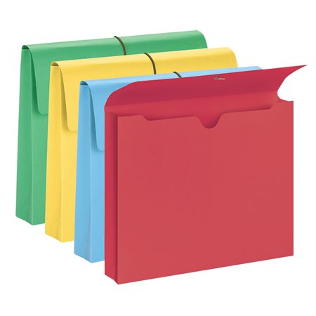 Coloured Expanding Wallets Letter size assorted (10)