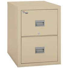Patriot Letter Size Fireproof Vertical File Cabinet 2 drawers, 27-3/4 in. H. parchment