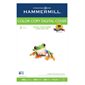 Hammermill  Color Copy Cover 100 lb tabloïd