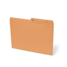 Reversible File Folder Letter size orange