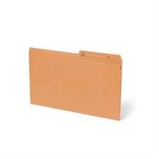 Reversible File Folder Legal size orange