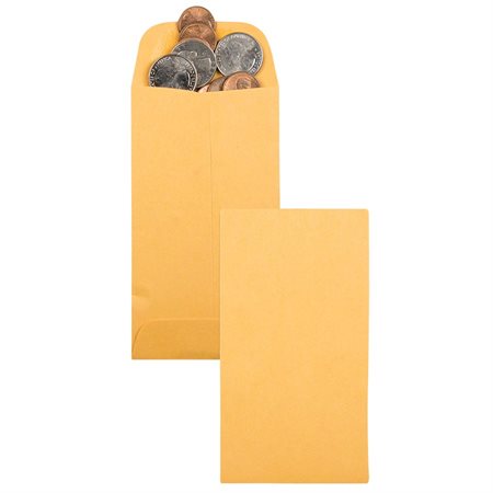Coin Envelope 2-7/8 x 5-1/4 in.