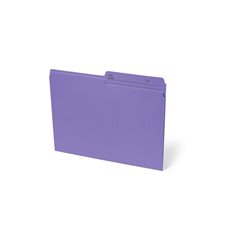 Reversible File Folder Letter size purple