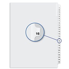 Quest Numerical Litigation Index Dividers 13 to 25 #16