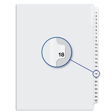 Quest Numerical Litigation Index Dividers 13 to 25 #18