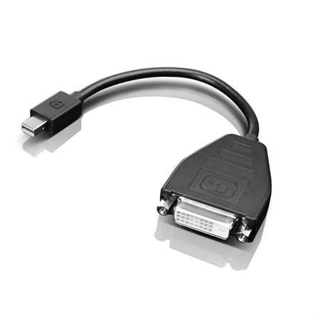 Adaptateur mini DisplayPort à SL-DVI