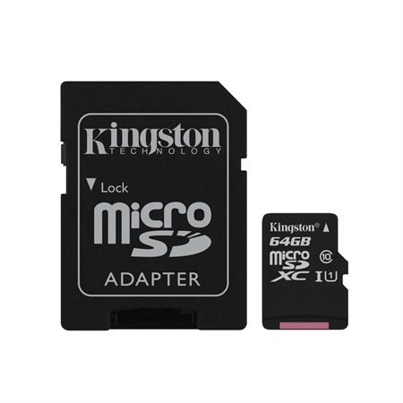 Carte mémoire Canvas Select MicroSD
