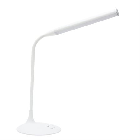 LED Desk Lamp with Auto-Off Timer