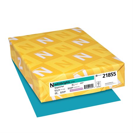 Astrobrights® Coloured Cover Paper terrestrial teal