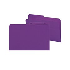 Coloured Reversible File Folders