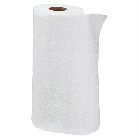Professional Paper Towels