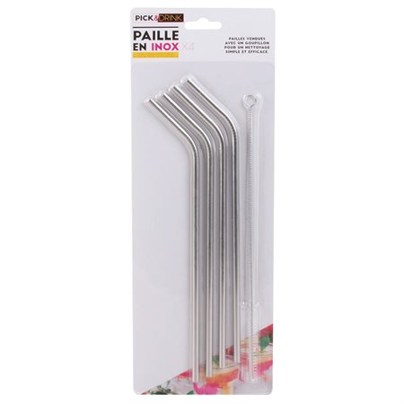 Stainless Straws with Brush