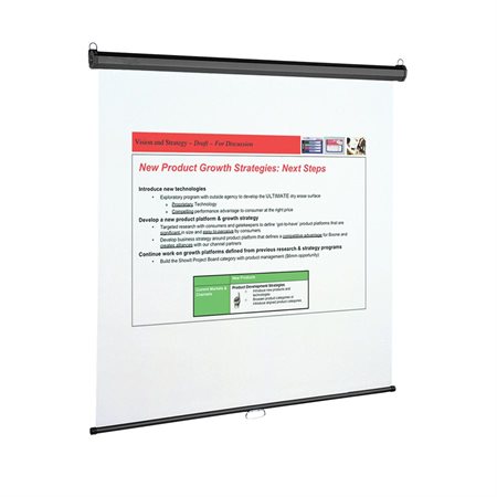 Wall or Ceiling Projection Screen 96 x 96"