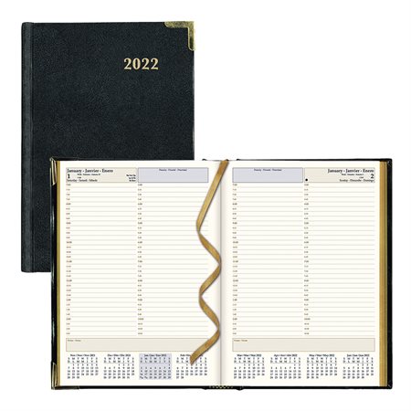 Daily Planner (2025)